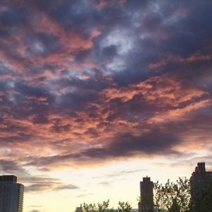 Meet your Posher, Zoe